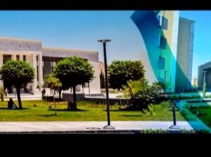 الجامعة السورية الخاصة