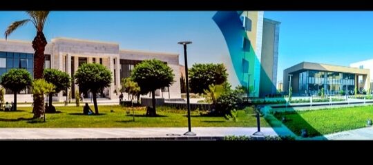 الجامعة السورية الخاصة