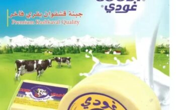 شركة المراعي للصناعات الغذائية (غودي)