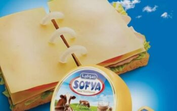 شركة شموط وقدة الغذائية (صوفيا)