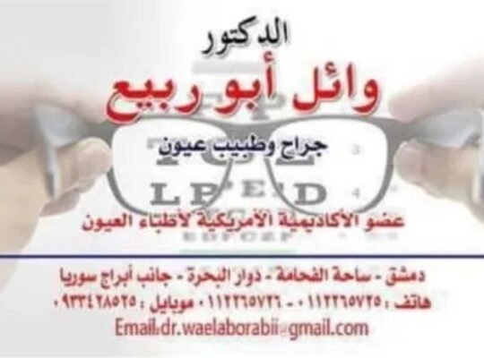 الدكتور وائل أبو ربيع