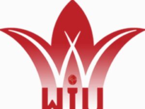 جامعة الوادي الدولية