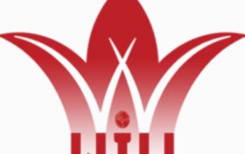 جامعة الوادي الدولية