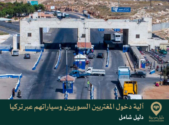 آلية دخول المغتربين السوريين وسياراتهم عبر تركيا: دليل شامل