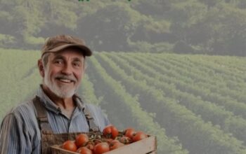 شركة أسرتنا الشامية للصناعات الغذائية