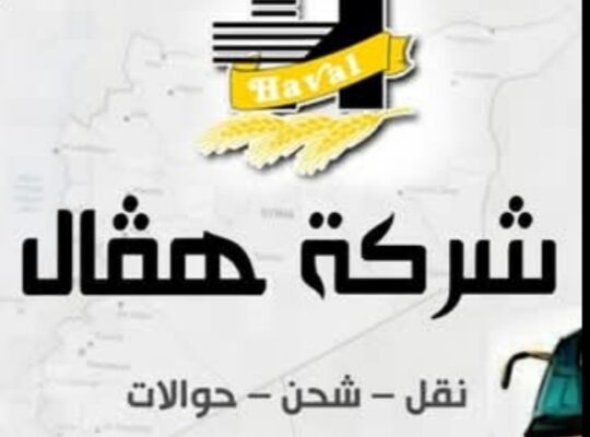 الشبكة العالمية للشحن