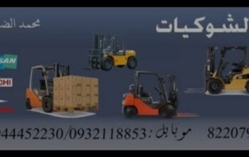 عالم الشوكيات