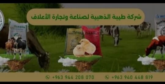 شركة طيبة الذهبية لصناعة وتجارة الأعلاف