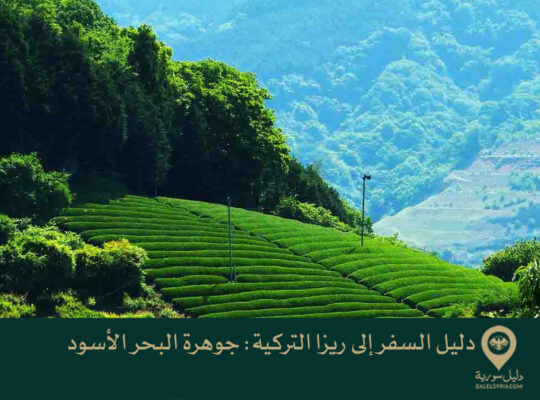 دليل السفر إلى ريزا التركية: جوهرة البحر الأسود