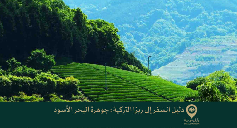 دليل السفر إلى ريزا التركية: جوهرة البحر الأسود