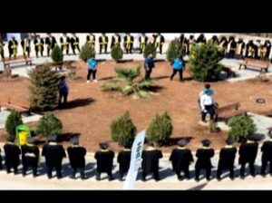 جامعة الشام