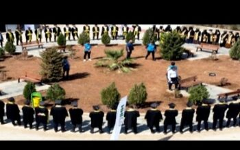 جامعة الشام