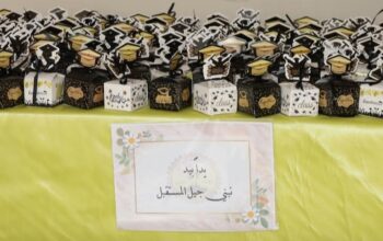 مدرسة الإباء العربي الخاصة