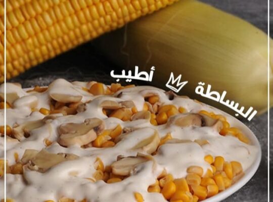 أوهايو بيتزا _ Ohio pizza