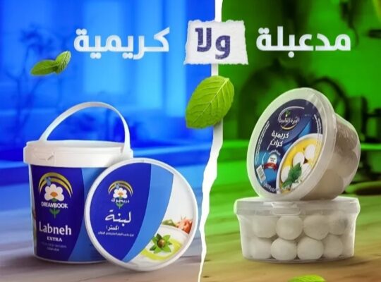 مجموعة دريم الغذائية