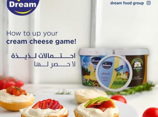 مجموعة دريم الغذائية
