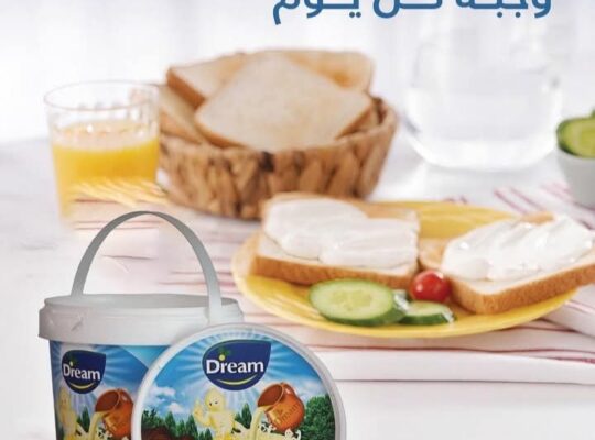 مجموعة دريم الغذائية