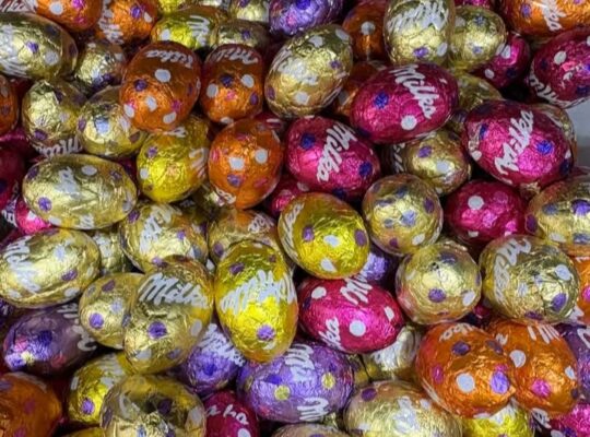 موالح الباشا