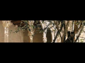 جامعة الزيتونة الدولية