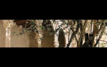 جامعة الزيتونة الدولية