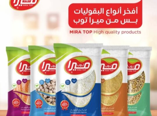 مؤسسة ميرا توب