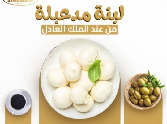 ألبان وأجبان الملك العادل