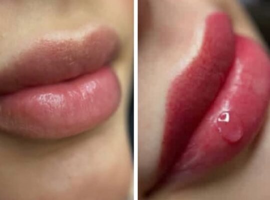 عيادات البيطار التخصصية