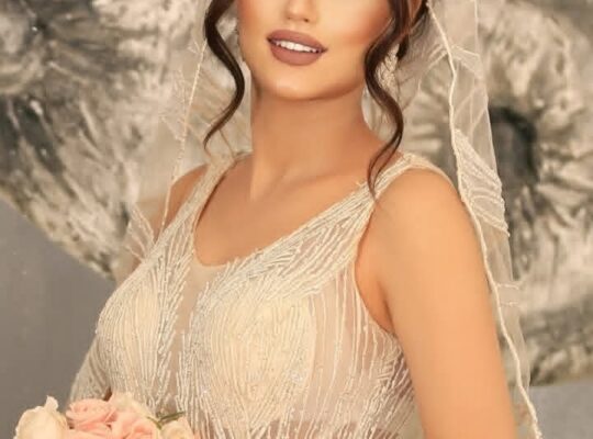 عمار عيسى للتزيين والجمال