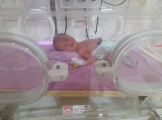 الدكتورة بشرى توفيق مقصود _ طب أطفال