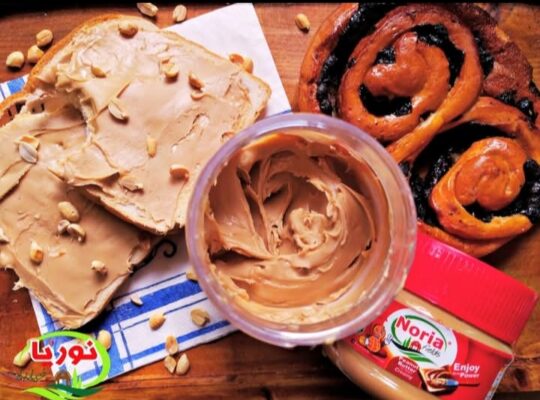 نوريا فيلدز لصناعة المواد الغذائية