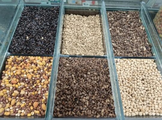 محمصة الحسن