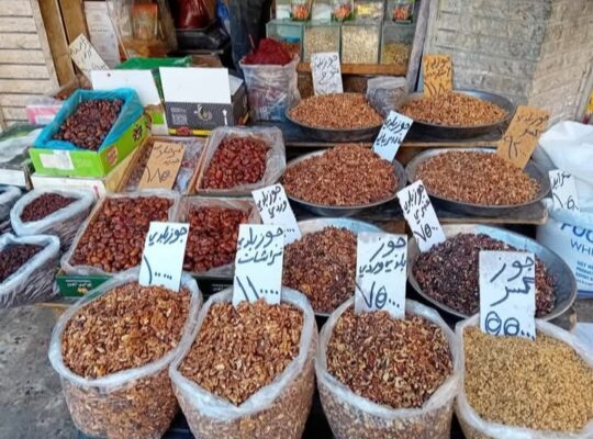 بزورية النور