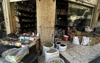 بزورية النور