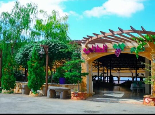 مطعم كرم العلالي