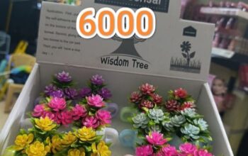 السلطان فرع 2 لمستحضرات التجميل