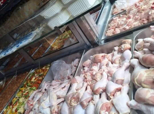 فروج الحكيم