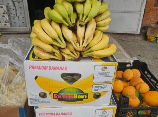 مركز المنجد للتجارة