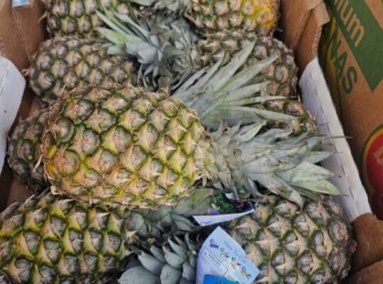 مركز المنجد للتجارة