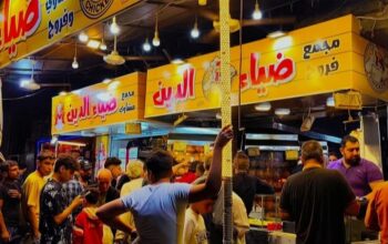 مجمع ضياء الدين للفروج