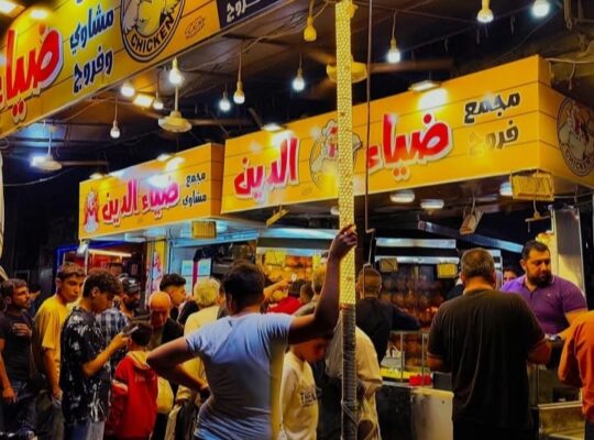 مجمع ضياء الدين للفروج