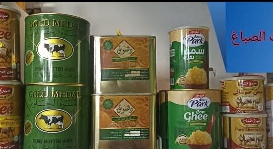 غذائيات الصباغ