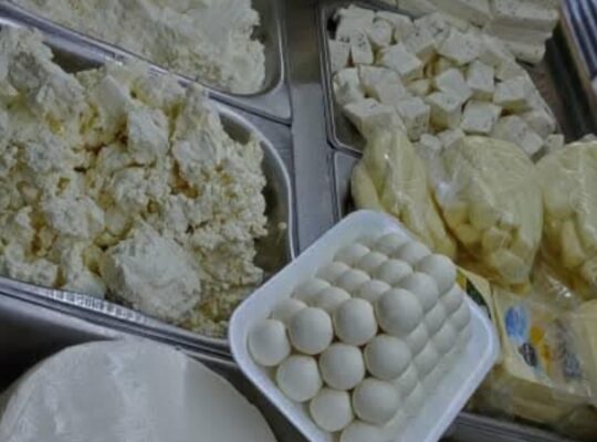 غذائيات الصباغ