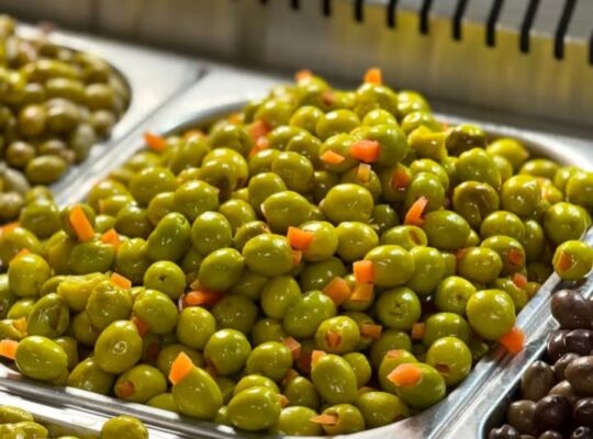 غذائيات الصباغ