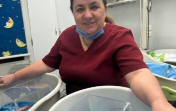 مركز الدكتورة إيسال حسن حسن للعقم وطفل الأنبوب