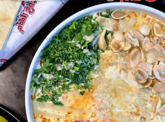 مطعم ربيع الشام