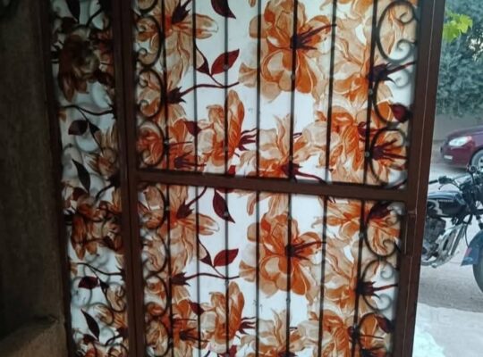 شركة بلوركس