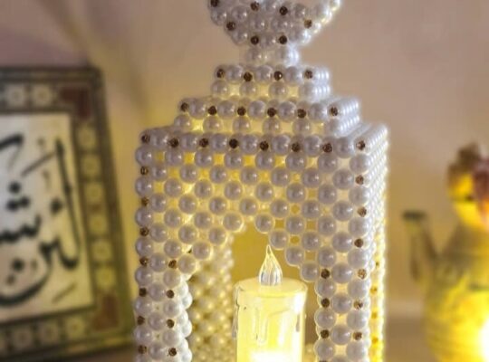 متجر إبرة وريشة