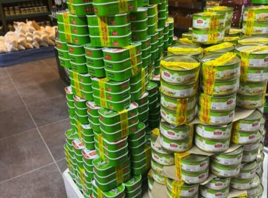 سنتر الباشا