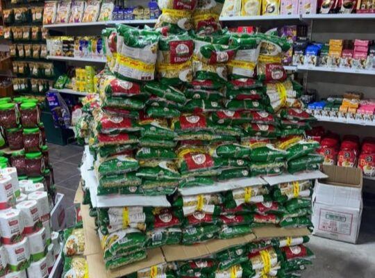 سنتر الباشا