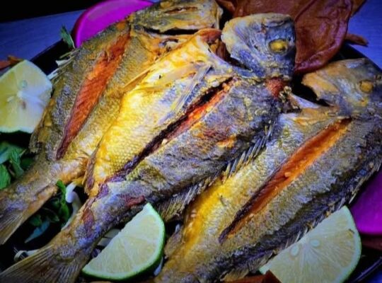 مطعم فروج أبو علي 1